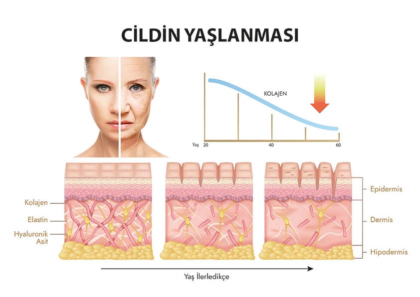 Kolajen ve Cilt